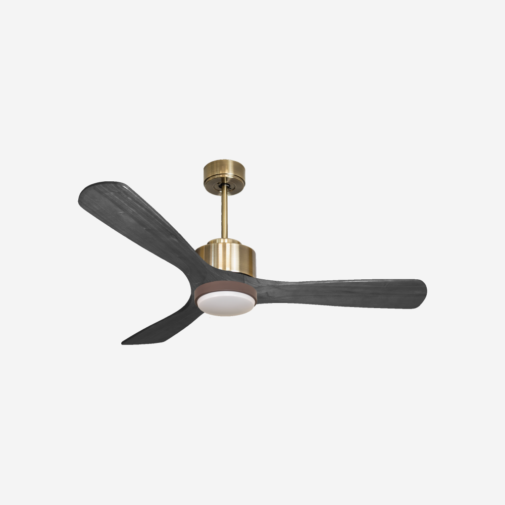 Ventilateur de plafond ultra silencieux et à faible consommation DC PaxosD132C02LED65980