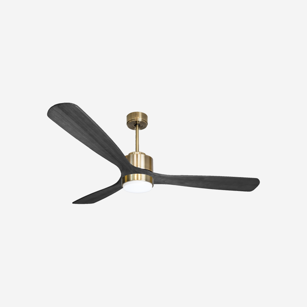 Ventilatore a soffitto ultra silenzioso e a basso consumo DC MaloloD166C02LED69037