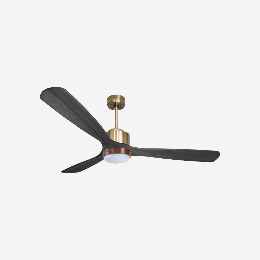 Ventilateur de plafond ultra silencieux et à faible consommation DC MaloloD166C02LED69040