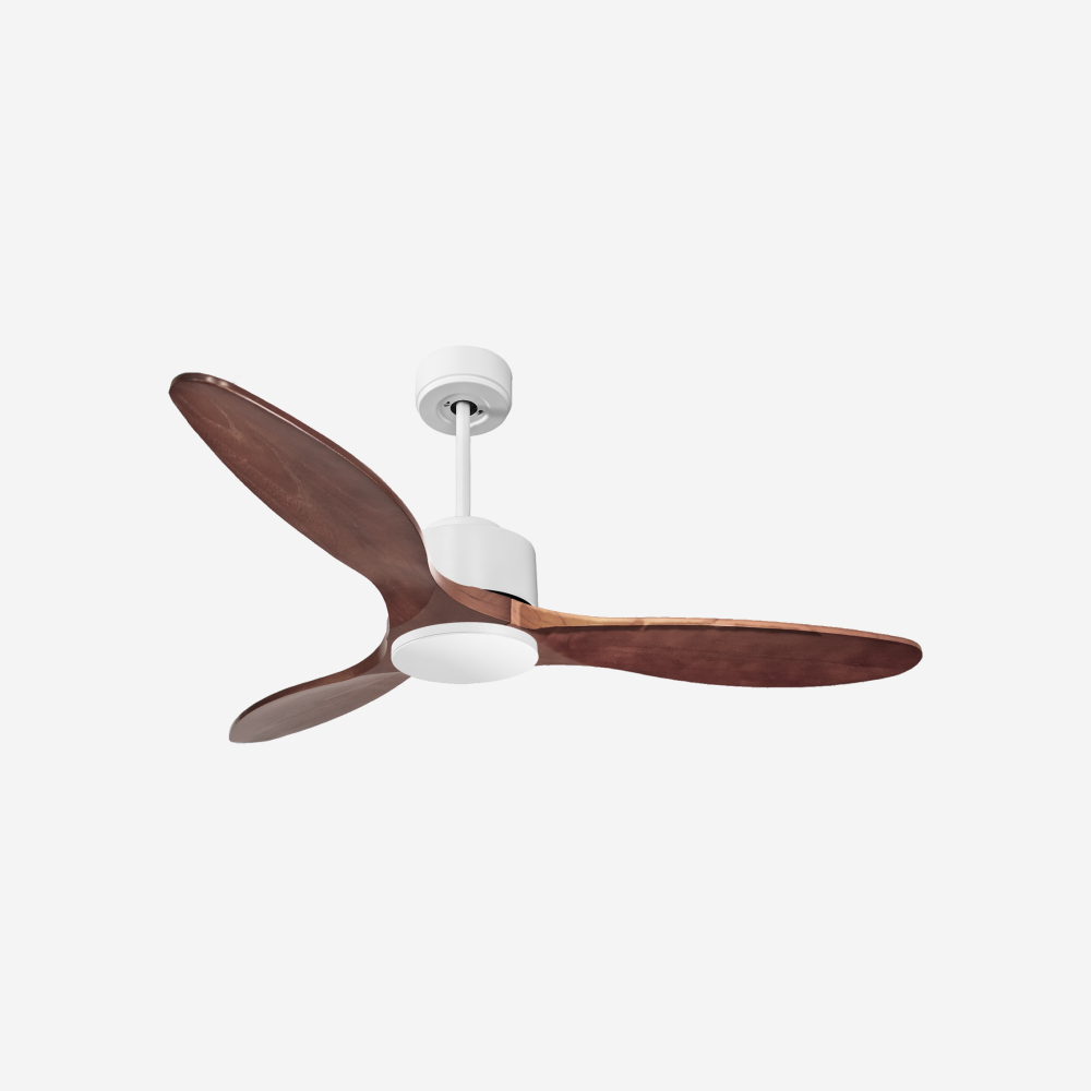 Ventilatore da soffitto Wifi Motore CC Telecomando Hypersilence Memoria