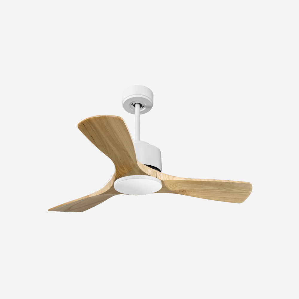 Ventilateur de plafond ultra silencieux et à faible consommation DC RarotongaD106C0266055