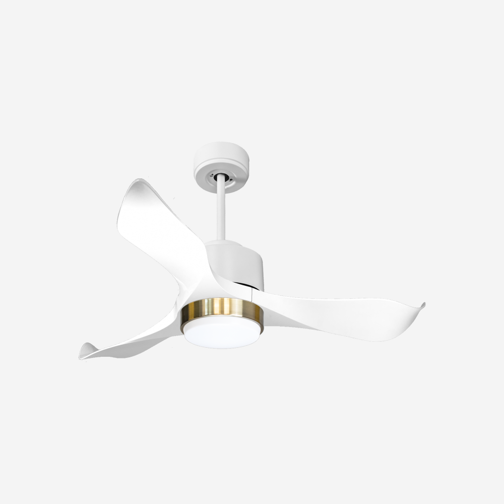 Ventilateur de plafond ultra silencieux et à faible consommation DC WhitsundayD106C02LED66103