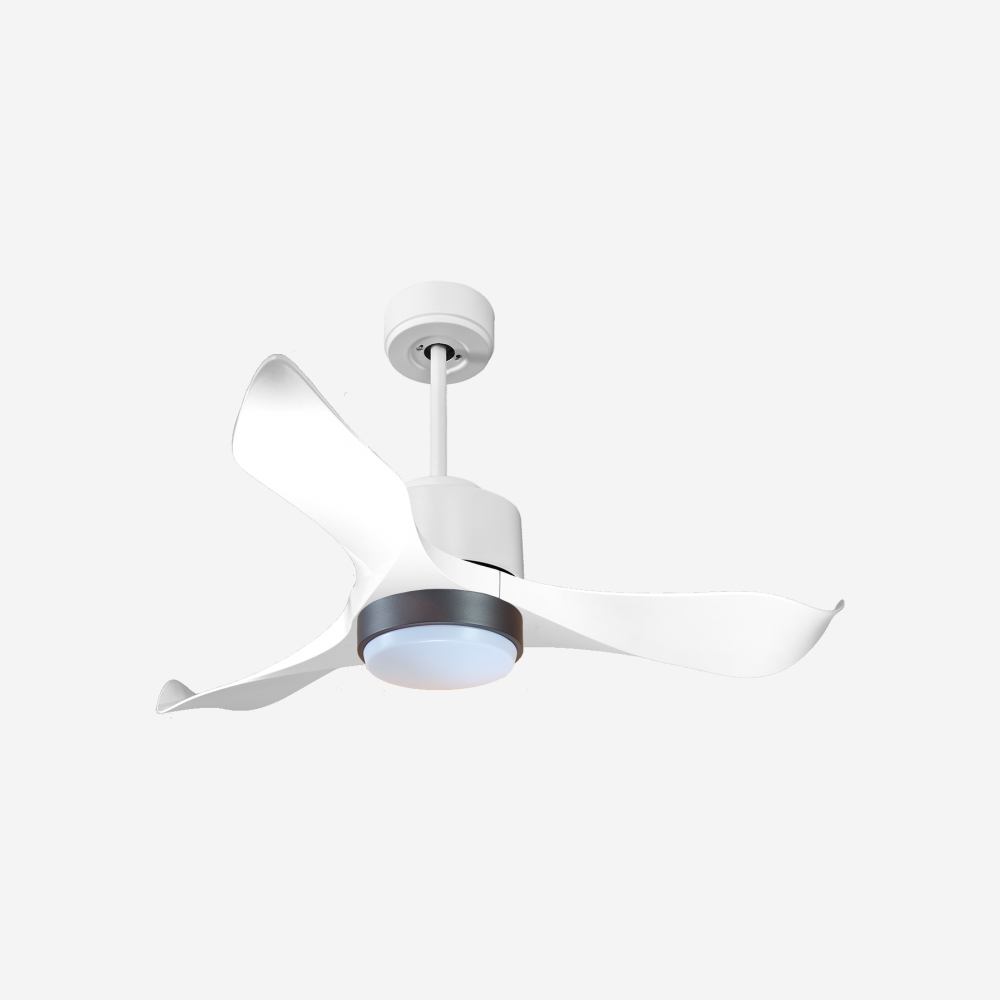 Ventilatore a soffitto ultra silenzioso e a basso consumo DC WhitsundayD106C02LED66104