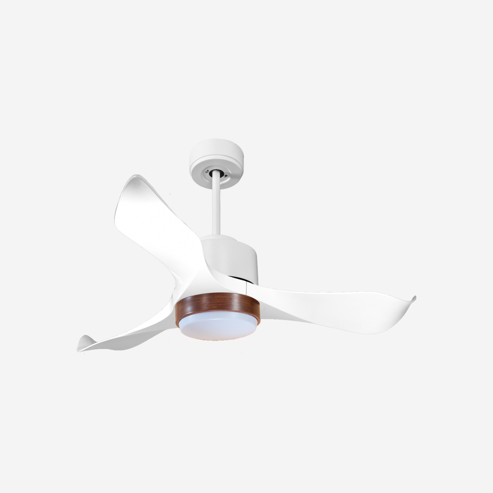 Ventilateur de plafond ultra silencieux et à faible consommation DC WhitsundayD106C02LED66105