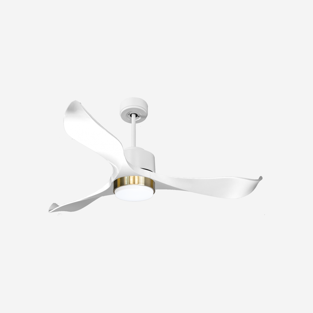 Ventilateur de plafond ultra silencieux et à faible consommation DC VirginD132C02LED66120