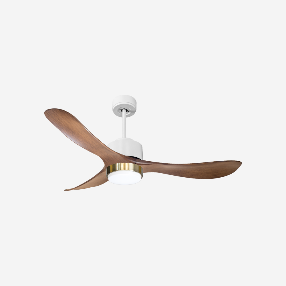 Ventilateur de plafond ultra silencieux et à faible consommation DC TogianD132C02LED66160