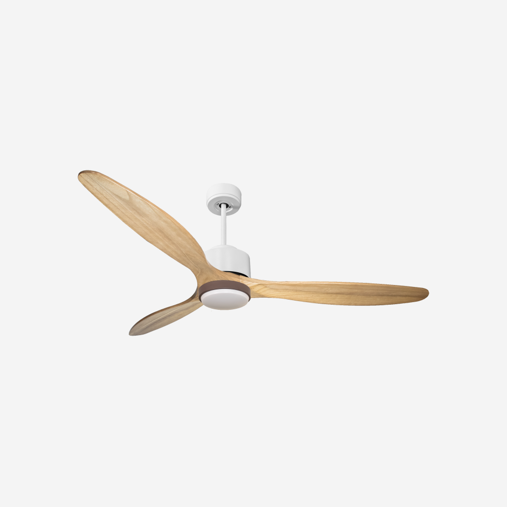 Ventilateur de plafond ultra silencieux et à faible consommation DC RangiroaD166C02LED66256