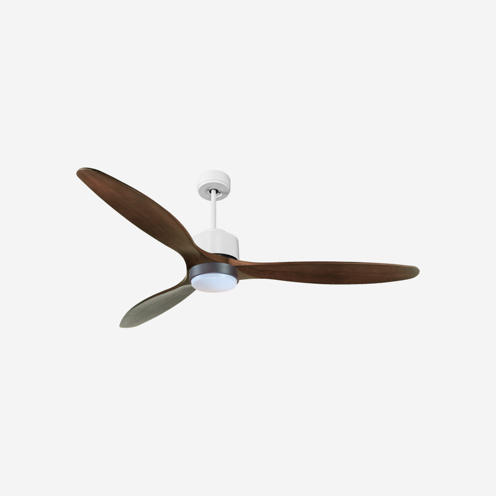 Ventilatore da soffitto