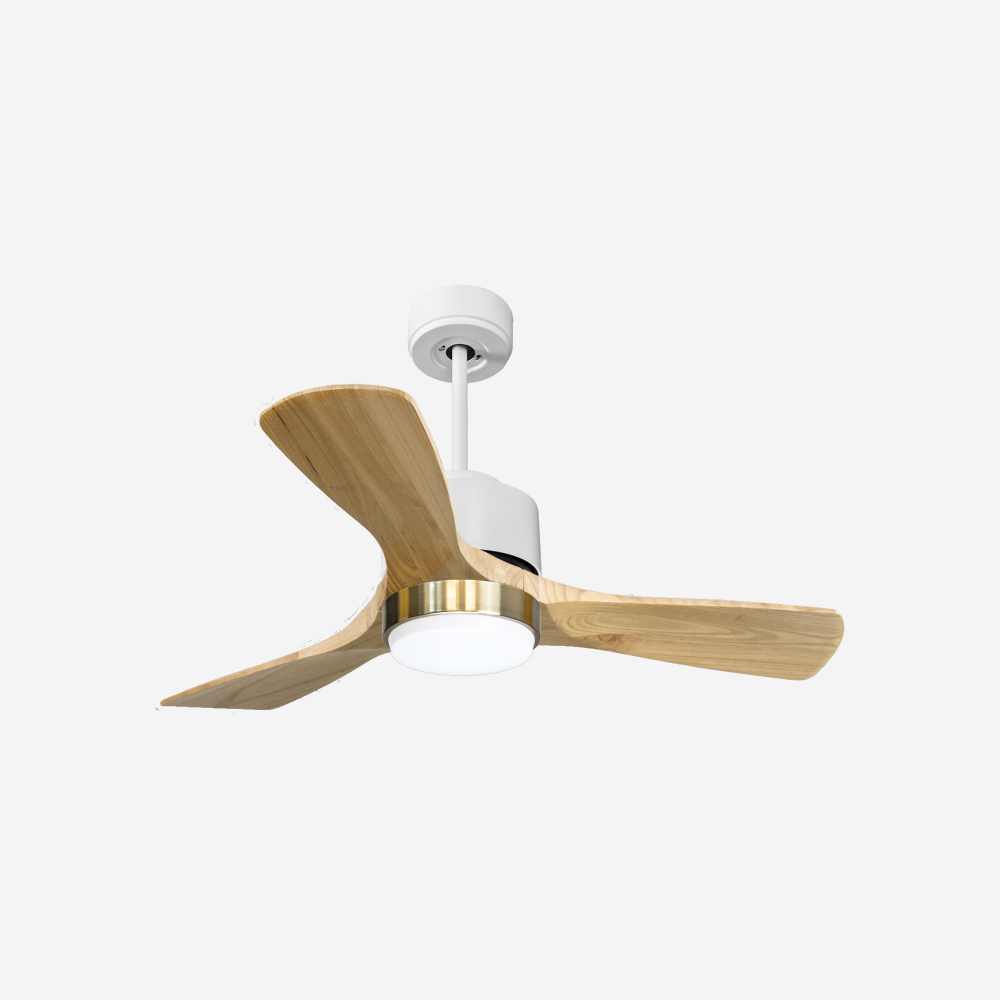 Ventilateur de plafond ultra silencieux et à faible consommation DC RarotongaD106C02LED66272