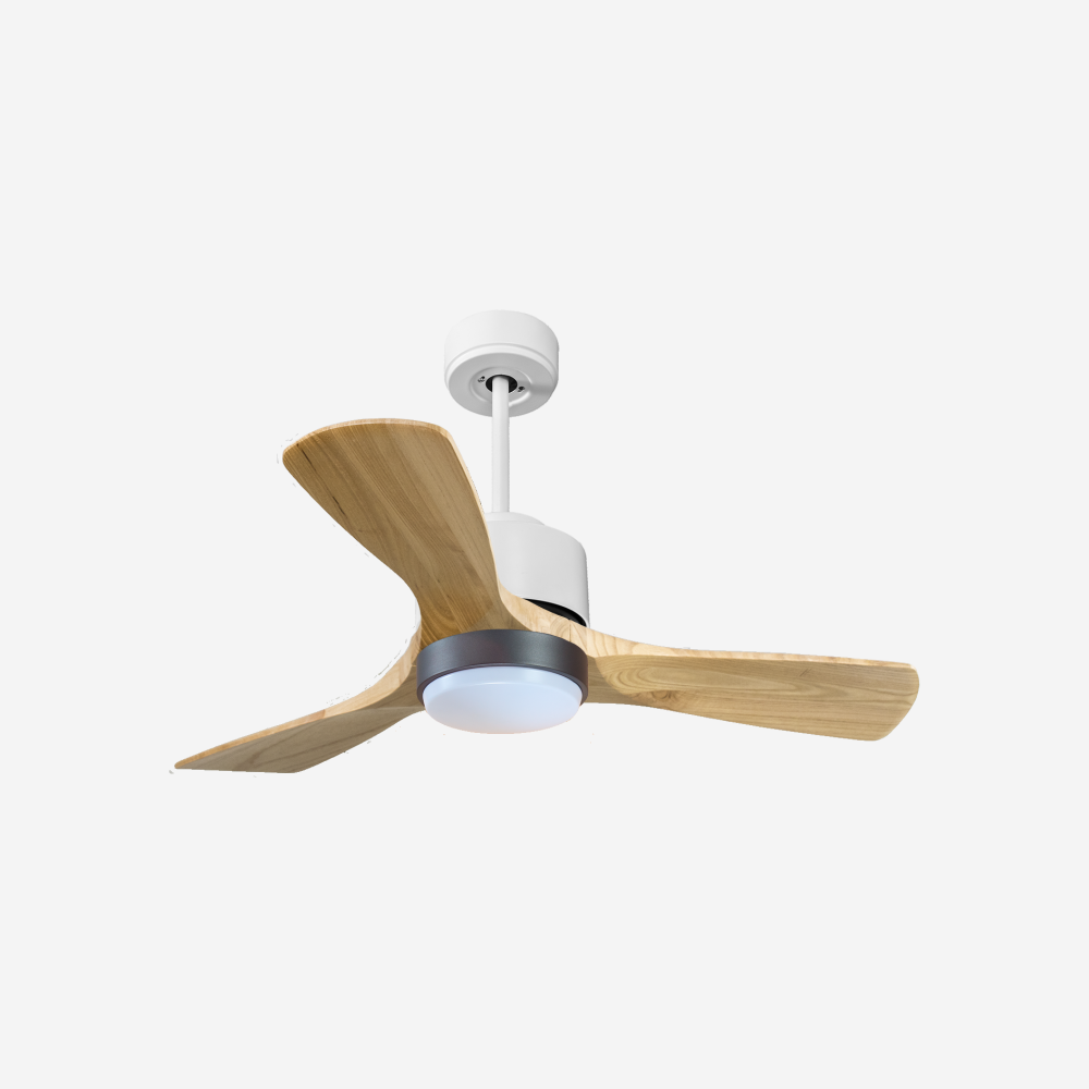 Ventilateur de plafond ultra silencieux et à faible consommation DC RarotongaD106C02LED66273