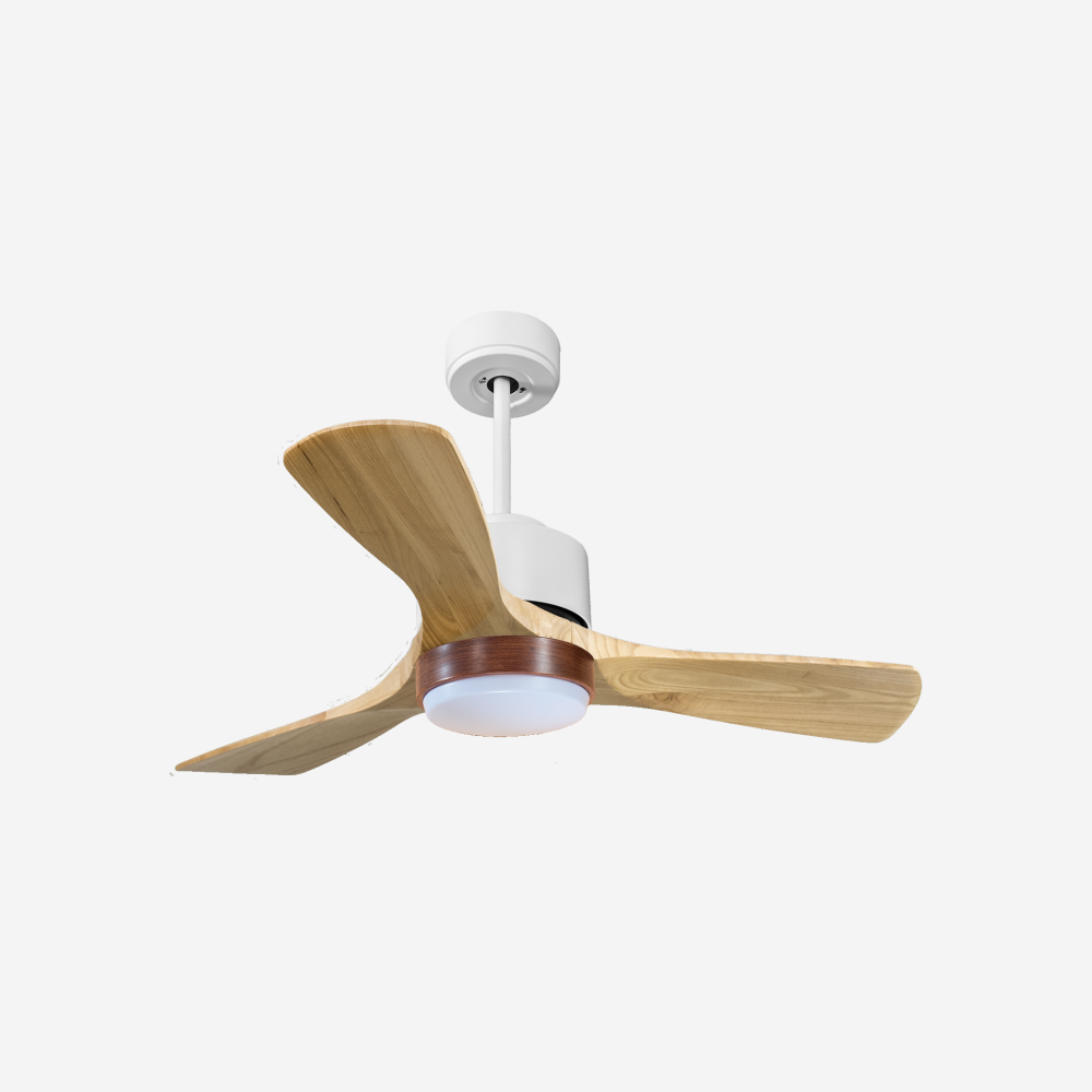 Ventilateur de plafond ultra silencieux et à faible consommation DC RarotongaD106C02LED66274