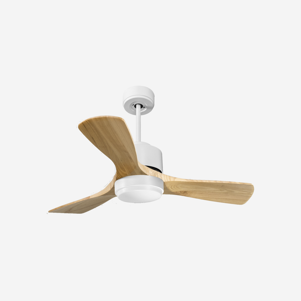 Ventilateur de plafond ultra silencieux et à faible consommation DC RarotongaD106C02LED66276