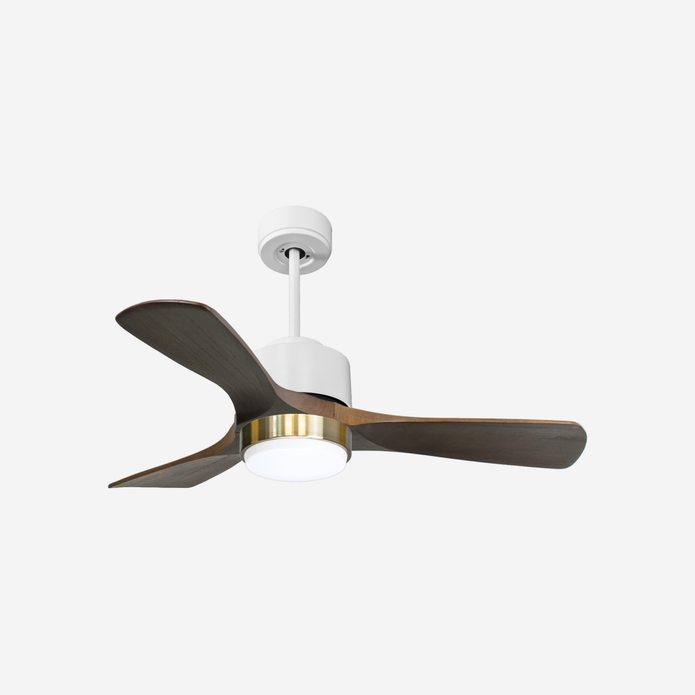 Ventilateur de plafond ultra silencieux et à faible consommation DC PrincipeD106C02LED66279