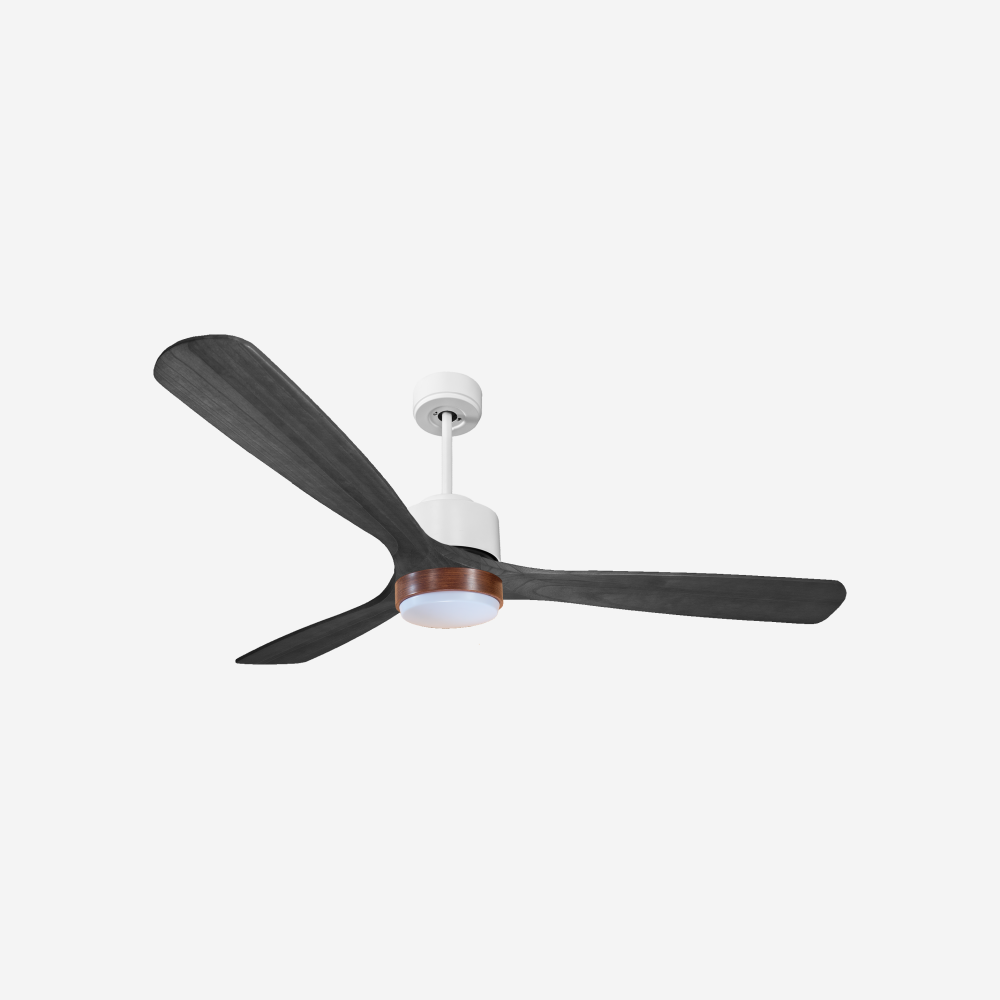 Ventilatore a soffitto ultra silenzioso e a basso consumo DC MaloloD166C02LED66353