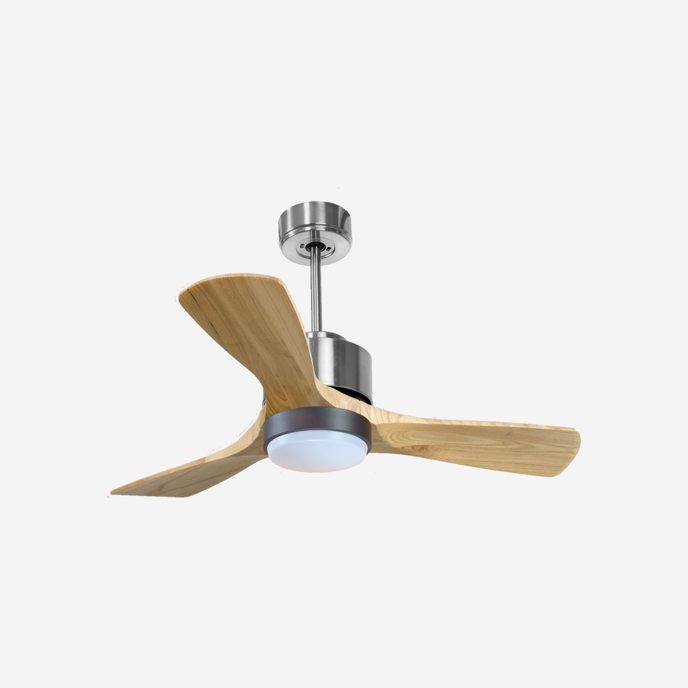 Ventilateur de plafond ultra silencieux et à faible consommation DC RarotongaD106C02LED69879