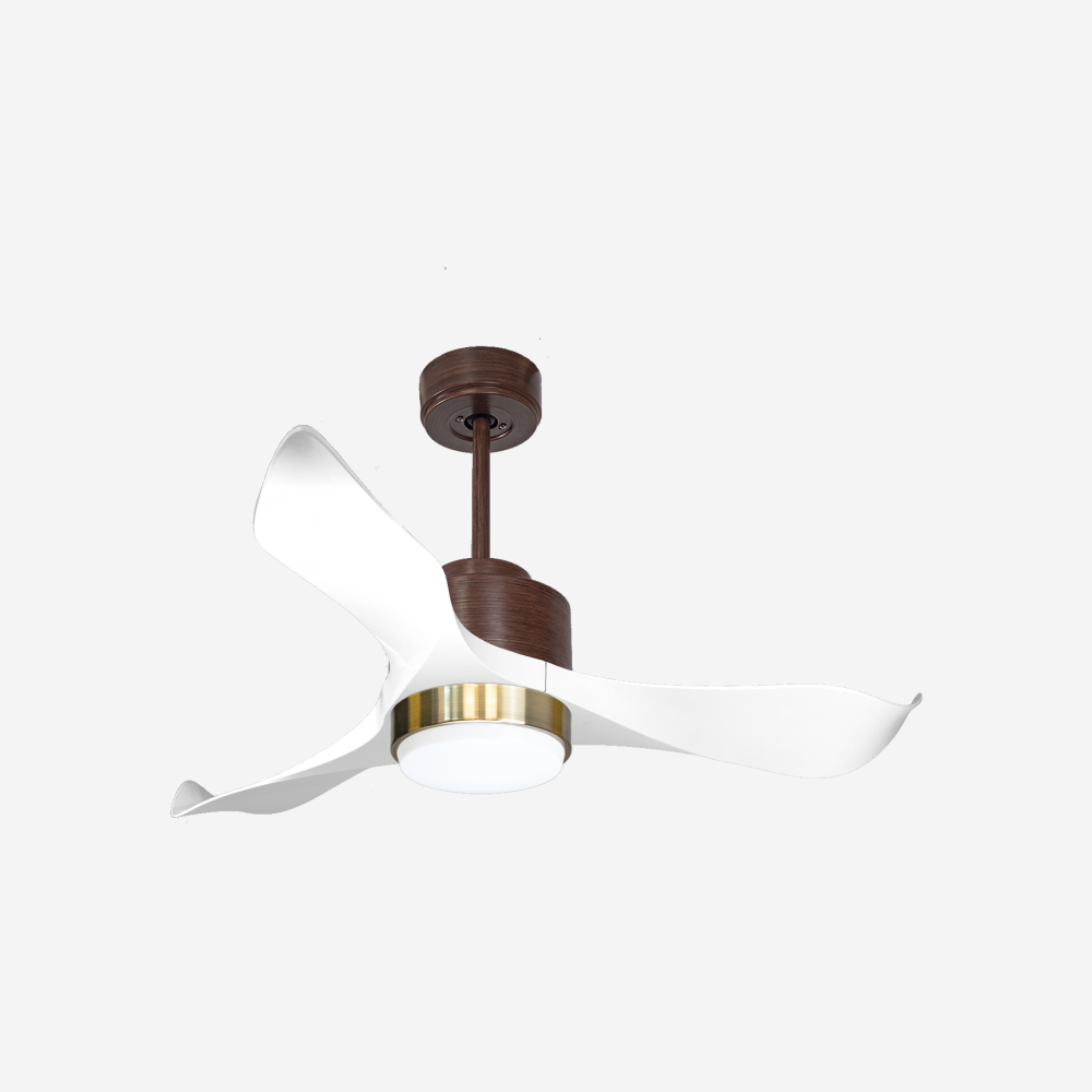 Ventilatore a soffitto ultra silenzioso e a basso consumo DC WhitsundayD106C02LED66915