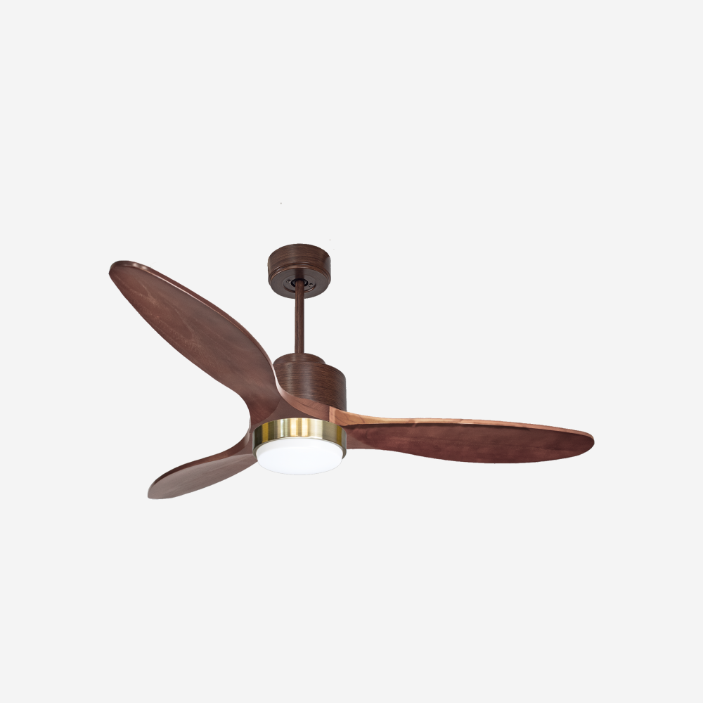 Ventilatore da soffitto Reversibile Termostato Dimmabile Wifi Motore CC Tetti inclinati Telecomando Luce a tre toni Hypersilence Memoria