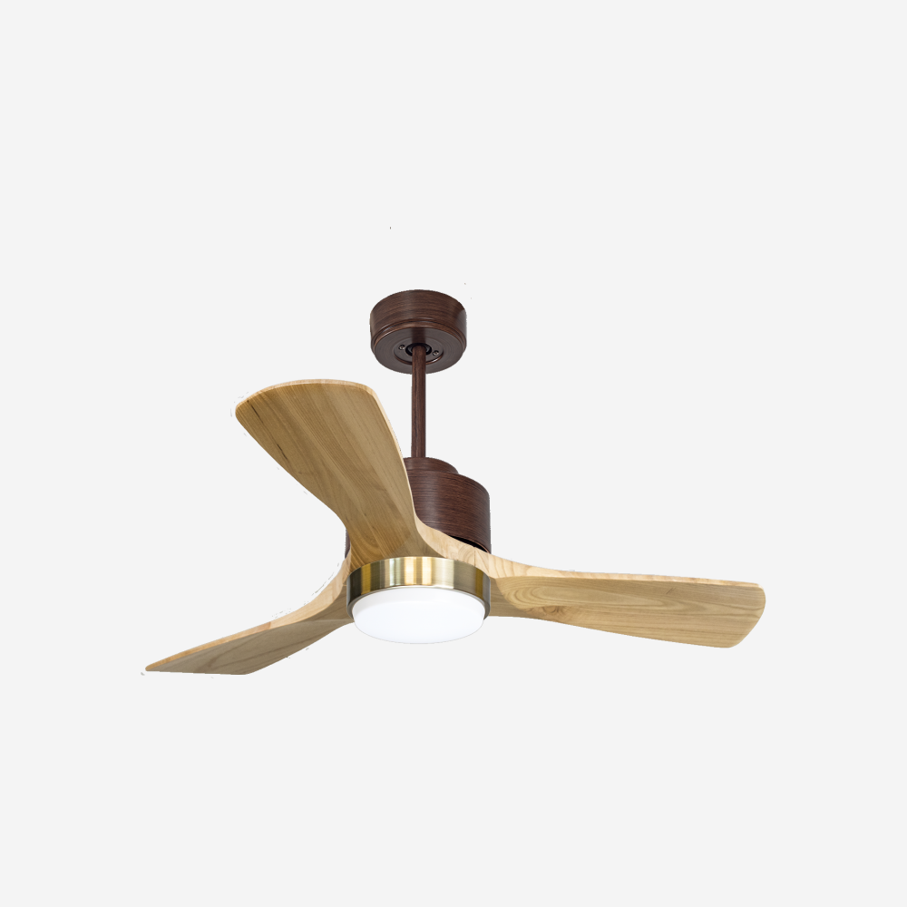 Ventilateur de plafond ultra silencieux et à faible consommation DC RarotongaD106C02LED67087