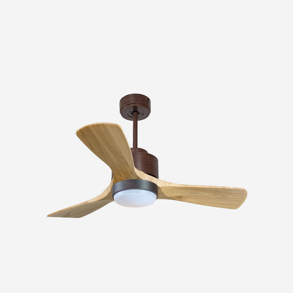 Ventilateur de plafond ultra silencieux et à faible consommation DC RarotongaD106C02LED70065