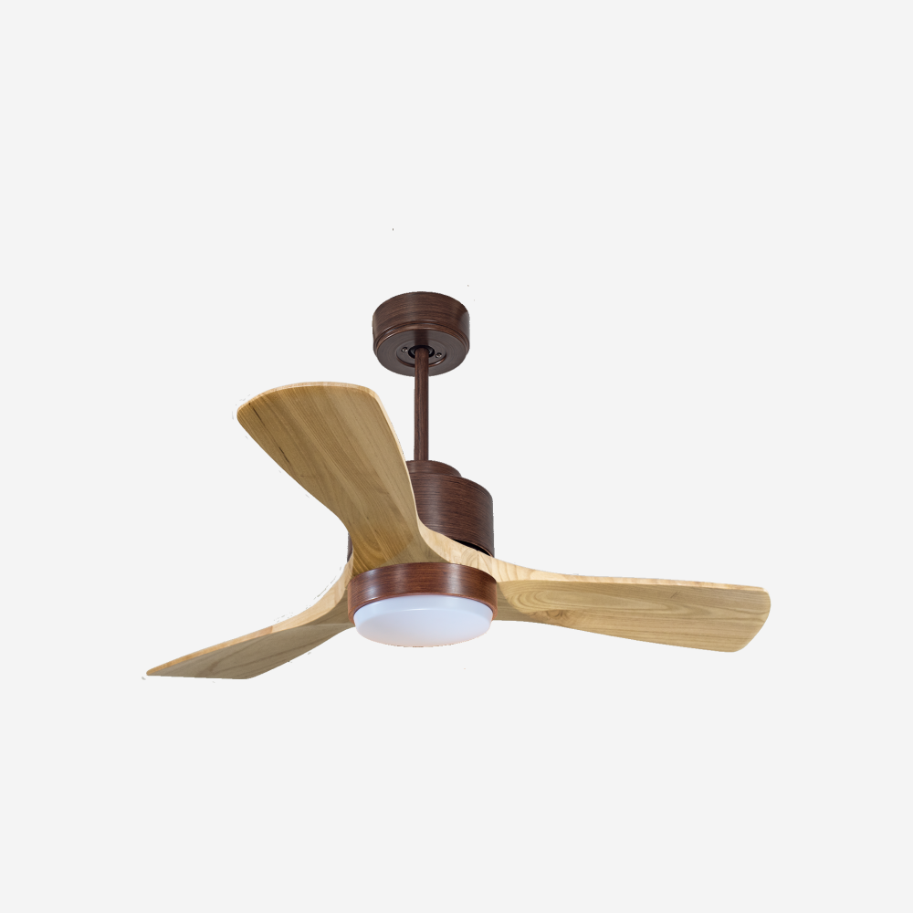 Ventilateur de plafond ultra silencieux et à faible consommation DC RarotongaD106C02LED70066