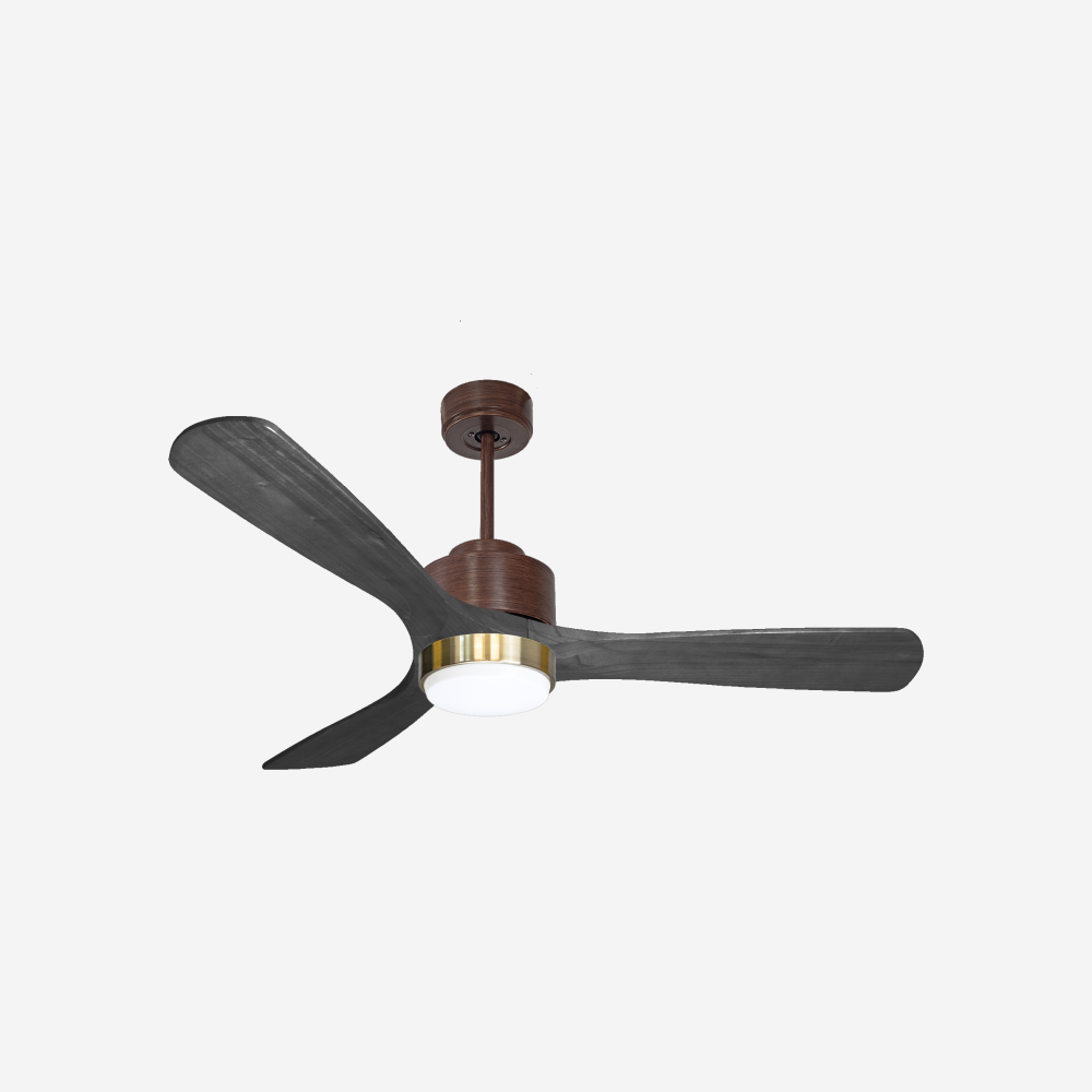 Ventilateur de plafond ultra silencieux et à faible consommation DC PaxosD132C02LED67127