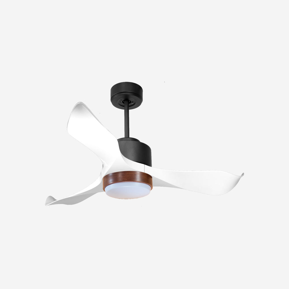 Ventilateur de plafond ultra silencieux et à faible consommation DC WhitsundayD106C02LED70160