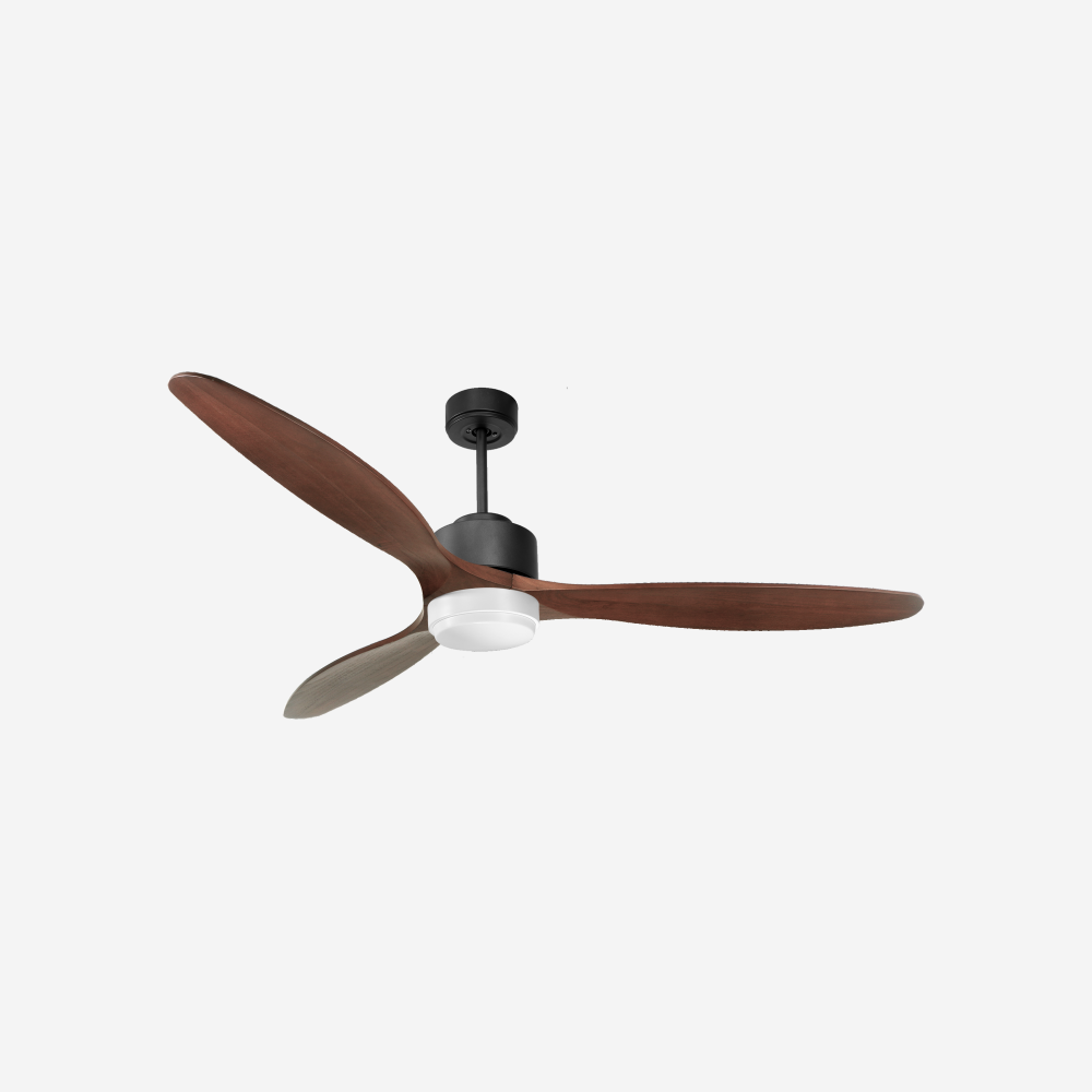 Ventilatore da soffitto