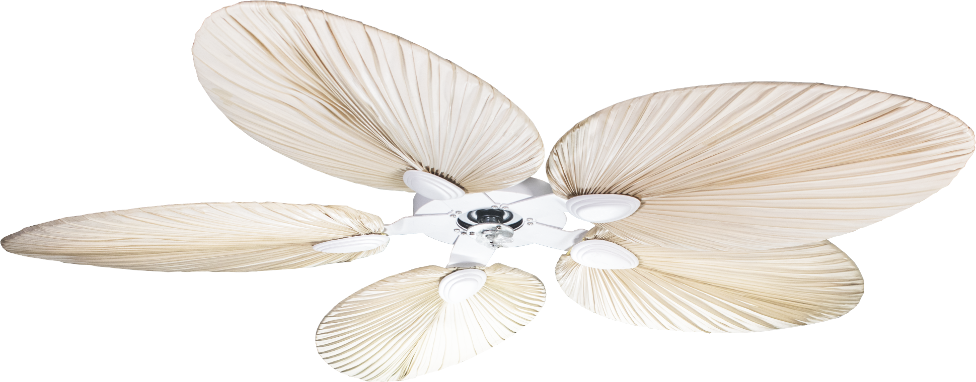 PalmWI132