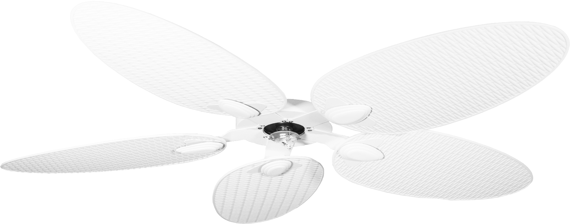 PalmResWI132