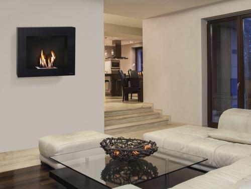 BESTBIO B FLAME ambiente