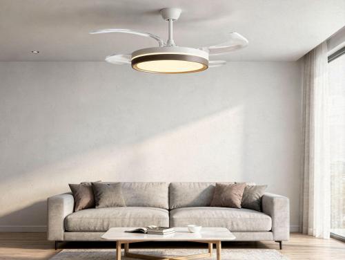 CEILY BRISE DWD ambiente