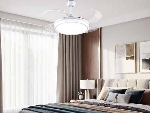 CEILY BRISE W ambiente