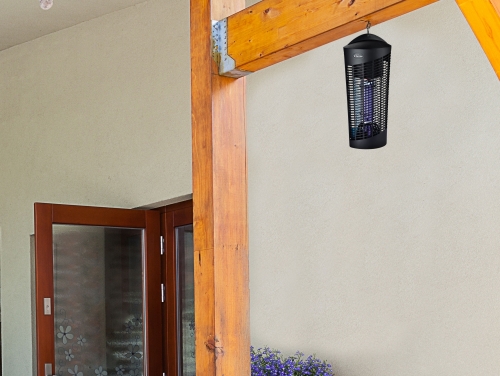 ZZAP TRAP EX-2 ambiente