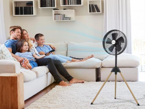 VENTY PEGASUS ambiente